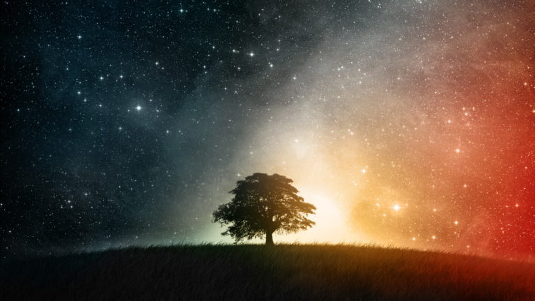 Una bella serata Una bella serata