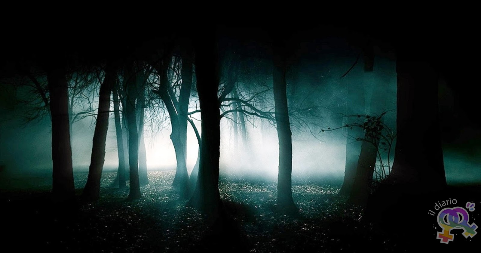 La foresta della notte