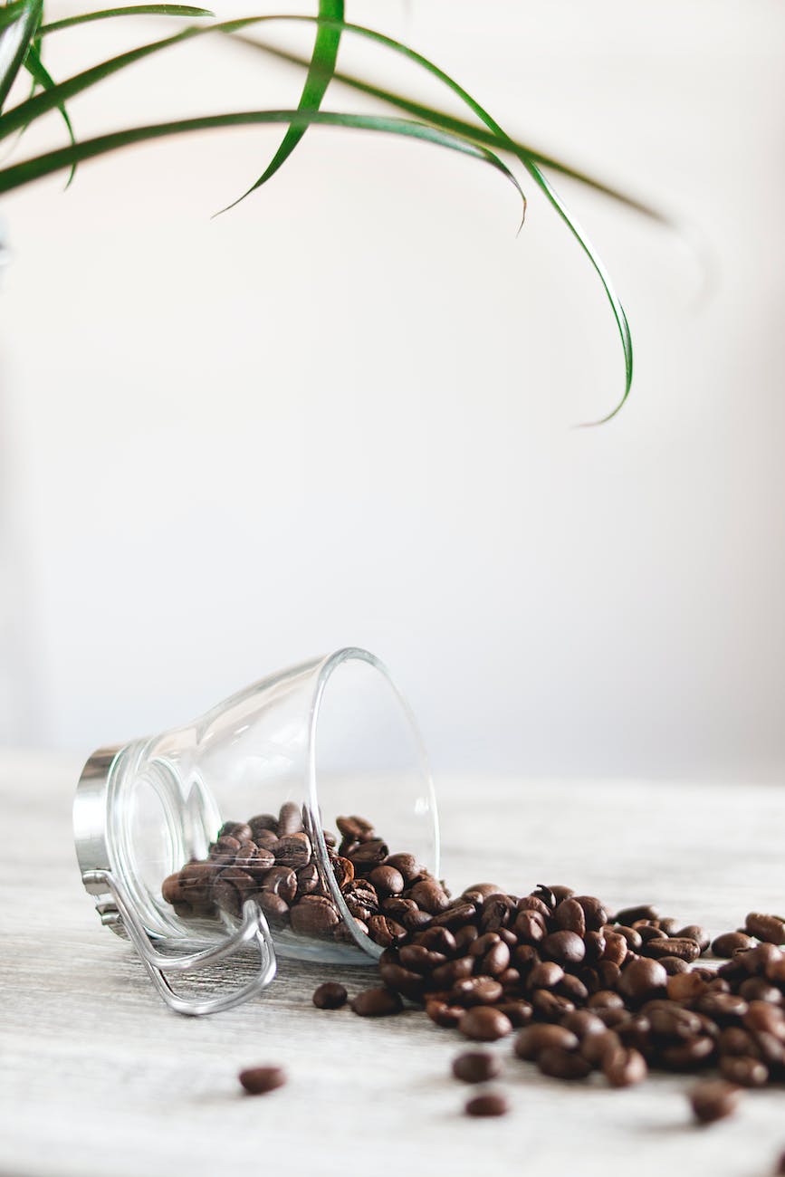 photo of spilled coffee beans