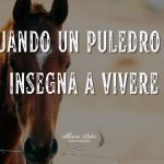 Quando un puledro ti insegna a vivere